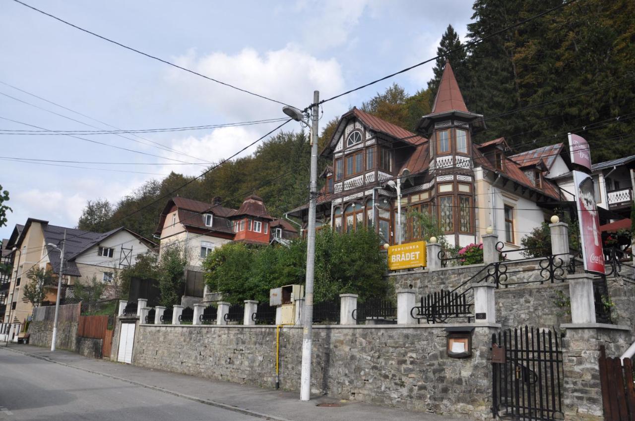 Vila Bradet Буштени Экстерьер фото